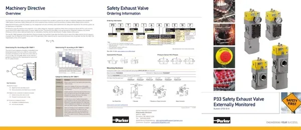 Válvula de Exaustão de Segurança P33 (0700-B14)